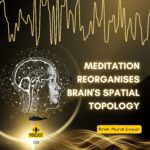 Meditation Reorganises Brains Spatial Topology