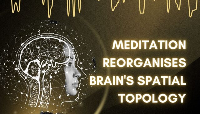 Meditation Reorganises Brains Spatial Topology